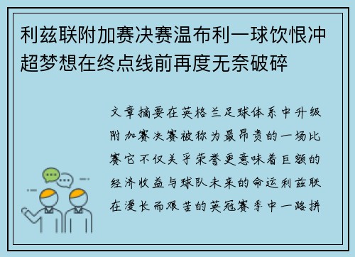 利兹联附加赛决赛温布利一球饮恨冲超梦想在终点线前再度无奈破碎